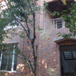 DSC00714
