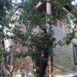 DSC00724