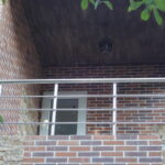 DSC00711
